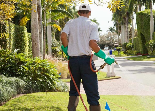 About Thomasville GA Pest Control Pros